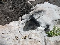 rrente Quarantore-20100606 051